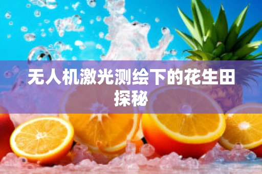 无人机激光测绘下的花生田探秘