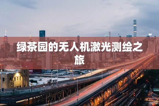 绿茶园的无人机激光测绘之旅