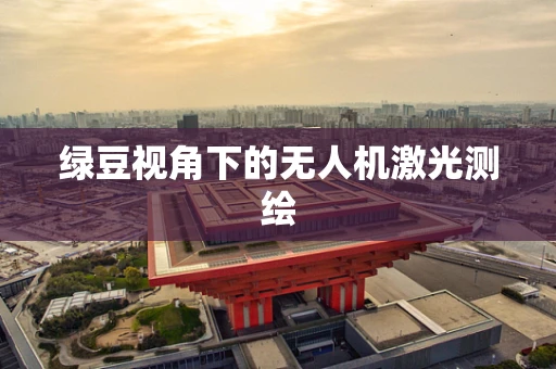 绿豆视角下的无人机激光测绘