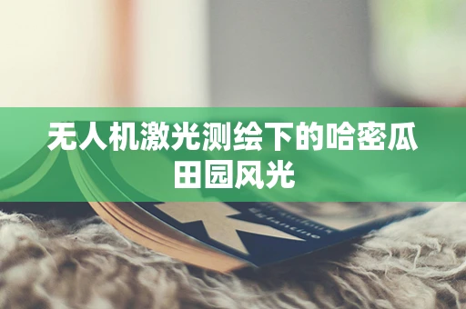 无人机激光测绘下的哈密瓜田园风光