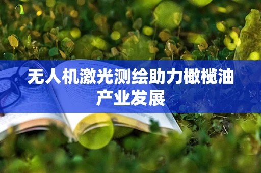 无人机激光测绘助力橄榄油产业发展