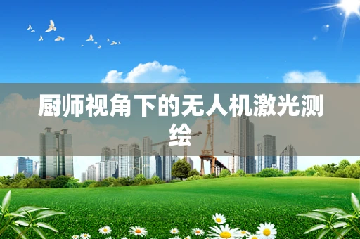 厨师视角下的无人机激光测绘