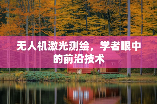 无人机激光测绘，学者眼中的前沿技术