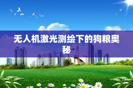 无人机激光测绘下的狗粮奥秘