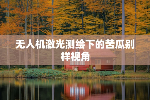 无人机激光测绘下的苦瓜别样视角