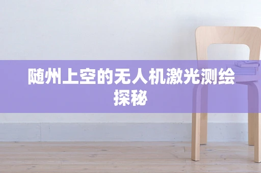 随州上空的无人机激光测绘探秘