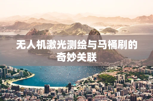 无人机激光测绘与马桶刷的奇妙关联