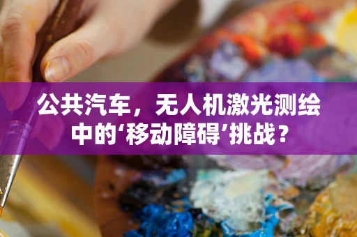 公共汽车，无人机激光测绘中的‘移动障碍’挑战？