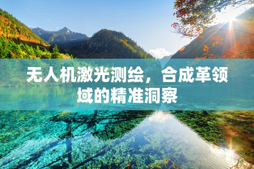无人机激光测绘，合成革领域的精准洞察