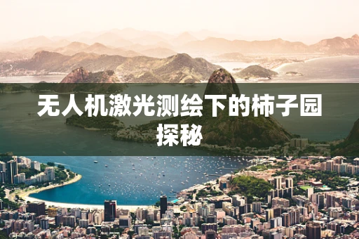无人机激光测绘下的柿子园探秘