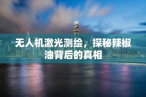 无人机激光测绘，探秘辣椒油背后的真相