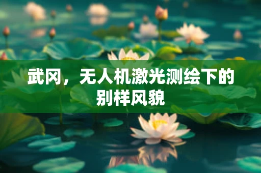 武冈，无人机激光测绘下的别样风貌