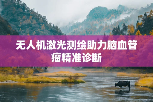 无人机激光测绘助力脑血管瘤精准诊断