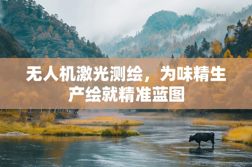 无人机激光测绘，为味精生产绘就精准蓝图