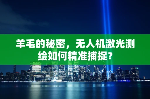 羊毛的秘密，无人机激光测绘如何精准捕捉？