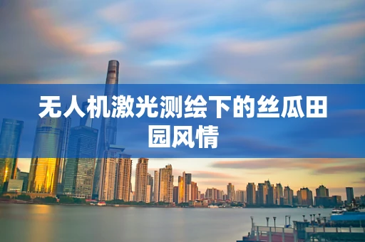 无人机激光测绘下的丝瓜田园风情