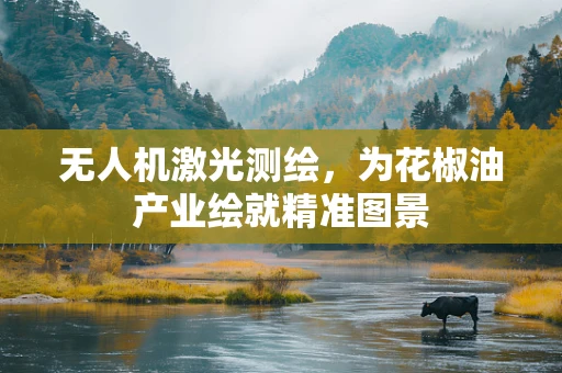 无人机激光测绘，为花椒油产业绘就精准图景