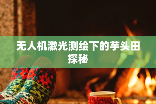 无人机激光测绘下的芋头田探秘