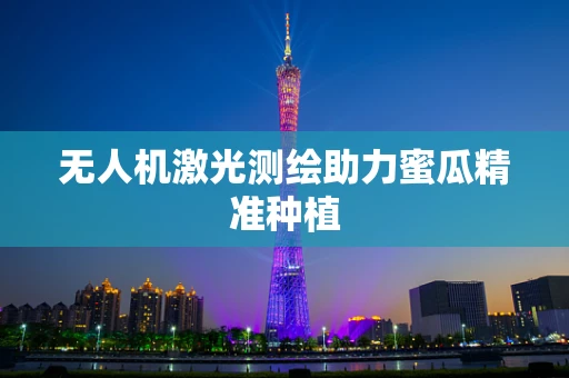 无人机激光测绘助力蜜瓜精准种植