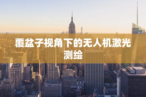 覆盆子视角下的无人机激光测绘