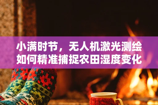 小满时节，无人机激光测绘如何精准捕捉农田湿度变化？