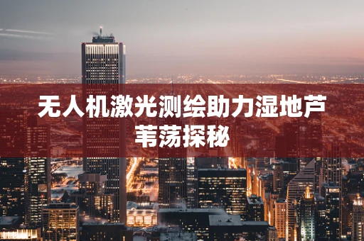 无人机激光测绘助力湿地芦苇荡探秘