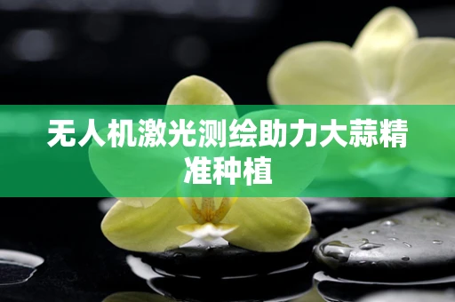 无人机激光测绘助力大蒜精准种植