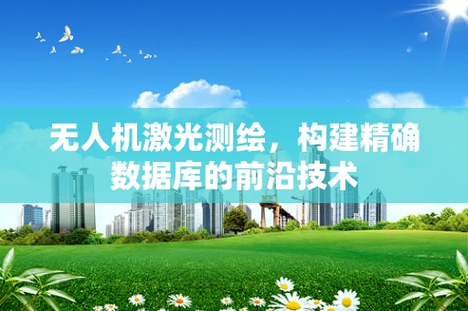 无人机激光测绘，构建精确数据库的前沿技术