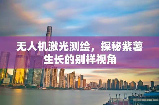 无人机激光测绘，探秘紫薯生长的别样视角