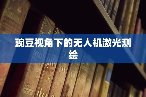 豌豆视角下的无人机激光测绘