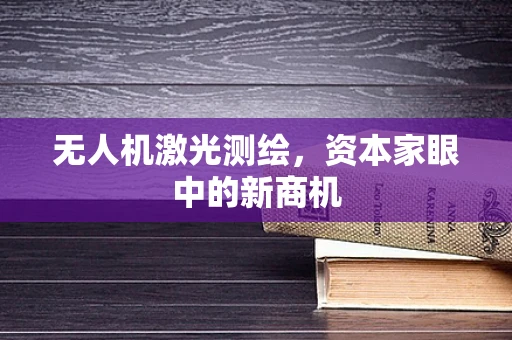 无人机激光测绘，资本家眼中的新商机
