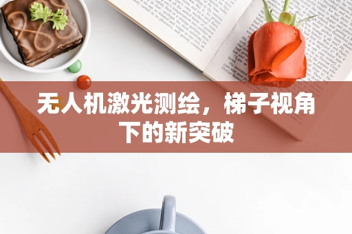 无人机激光测绘，梯子视角下的新突破