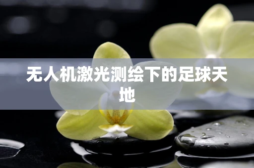 无人机激光测绘下的足球天地