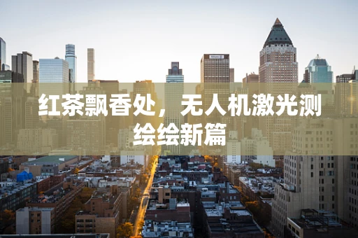 红茶飘香处，无人机激光测绘绘新篇