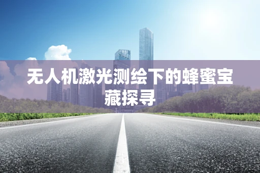 无人机激光测绘下的蜂蜜宝藏探寻