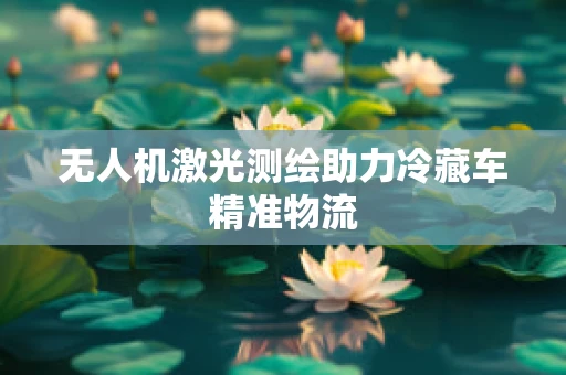 无人机激光测绘助力冷藏车精准物流