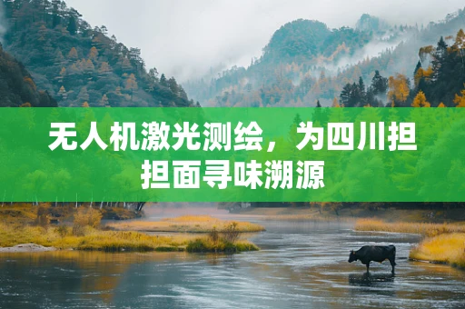无人机激光测绘，为四川担担面寻味溯源