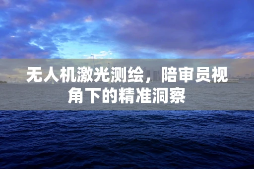 无人机激光测绘，陪审员视角下的精准洞察