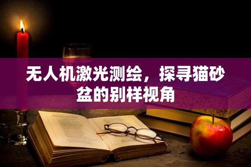 无人机激光测绘，探寻猫砂盆的别样视角