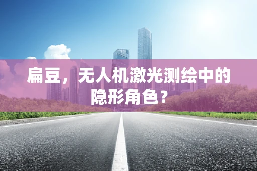 扁豆，无人机激光测绘中的隐形角色？