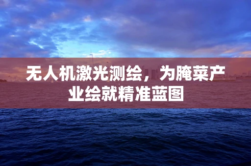 无人机激光测绘，为腌菜产业绘就精准蓝图