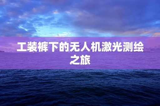 工装裤下的无人机激光测绘之旅