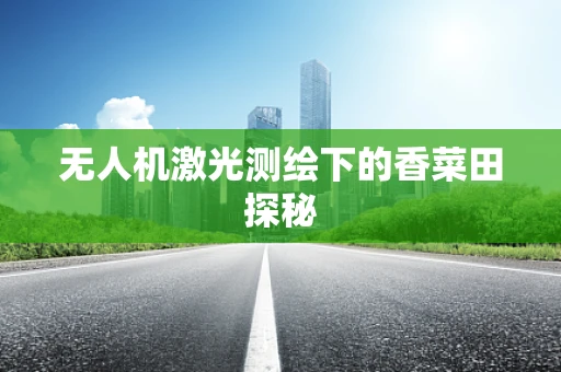 无人机激光测绘下的香菜田探秘