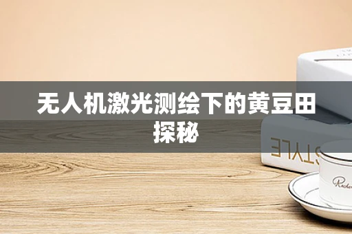 无人机激光测绘下的黄豆田探秘