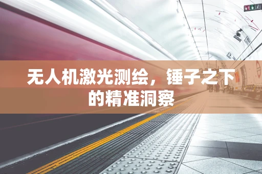 无人机激光测绘，锤子之下的精准洞察