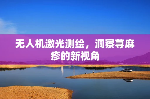 无人机激光测绘，洞察荨麻疹的新视角