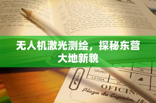 无人机激光测绘，探秘东营大地新貌