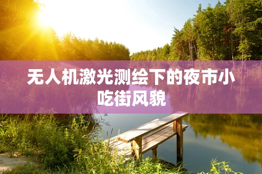 无人机激光测绘下的夜市小吃街风貌