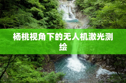 杨桃视角下的无人机激光测绘