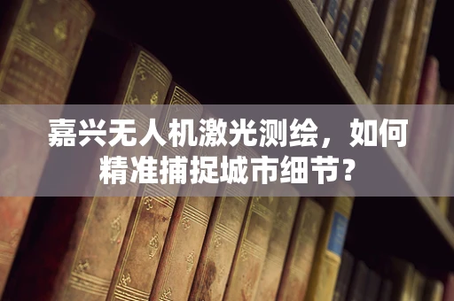 嘉兴无人机激光测绘，如何精准捕捉城市细节？